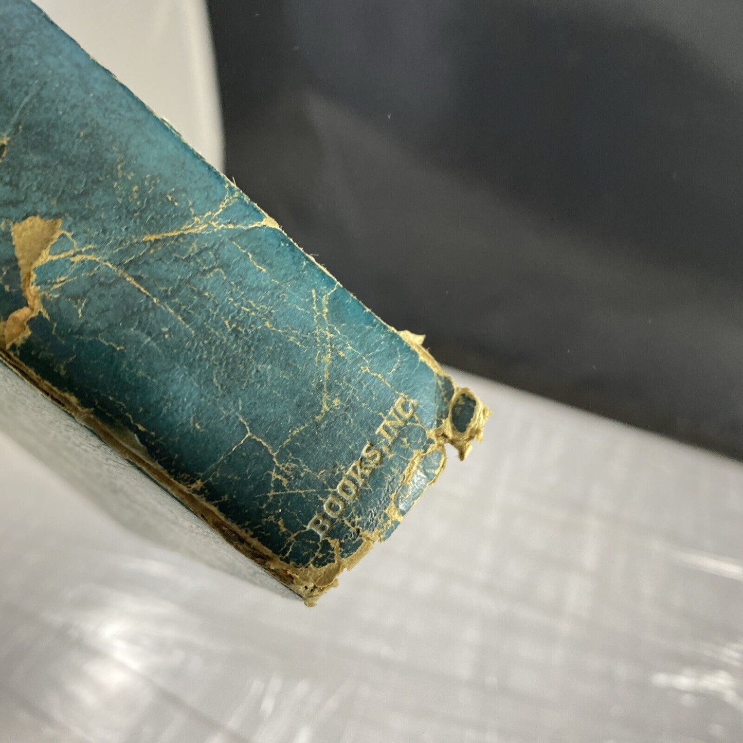 The Oregon Trail Francis Parkman JR Art-type Edition RARE Blue Leather Antique