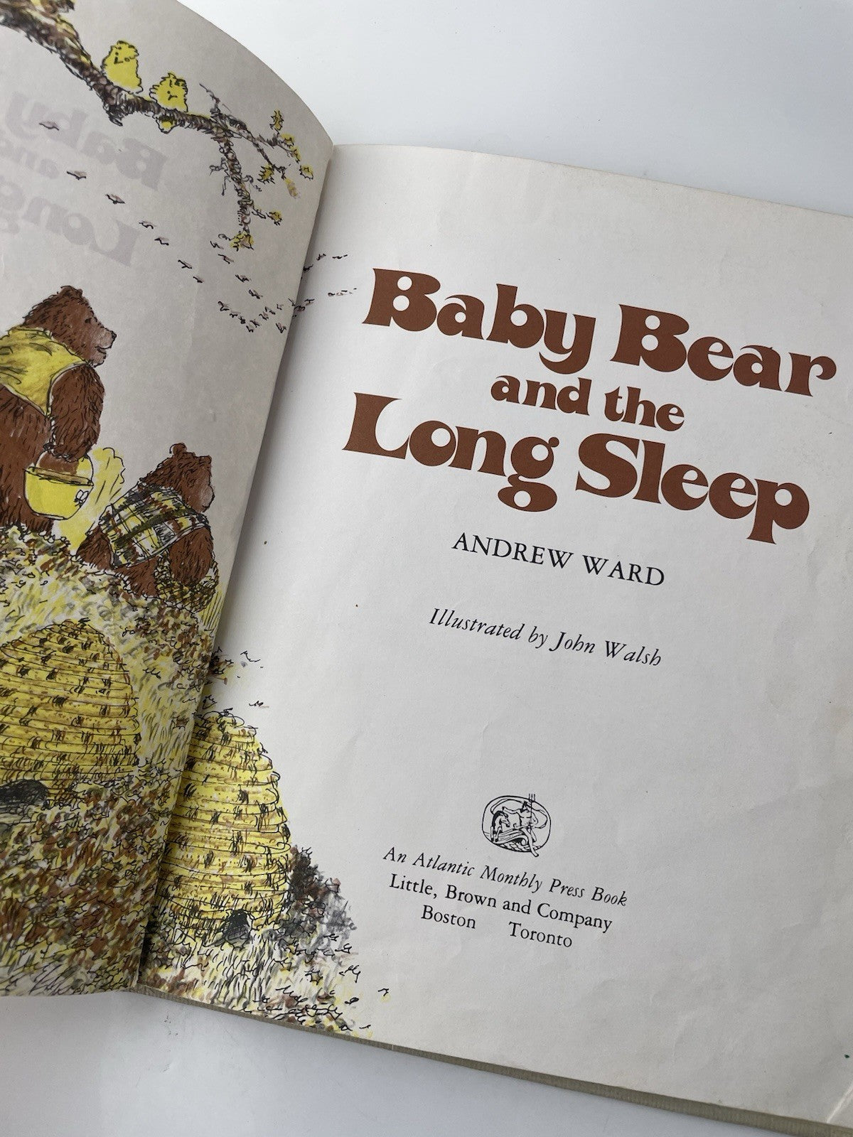baby bear and the long sleep book, by andrew ward, 1980 Hardcover