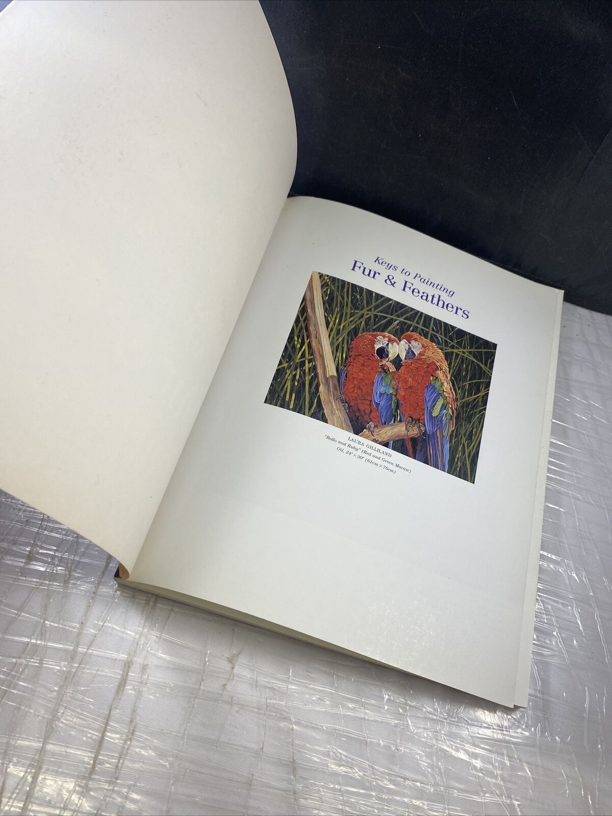 Keys to Painting - Fur & Feathers Vintage Art Book Guide Rachel Rubin Wolf