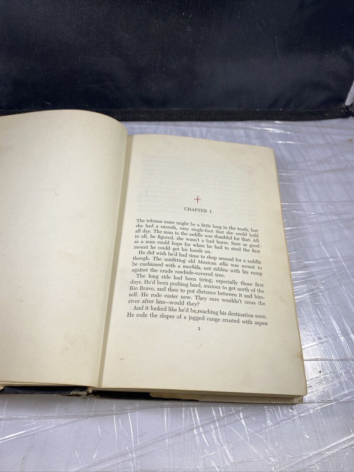 Loco Lee Hoffman 1969 First Edition EX Crawford County LibraryRare Western Novel