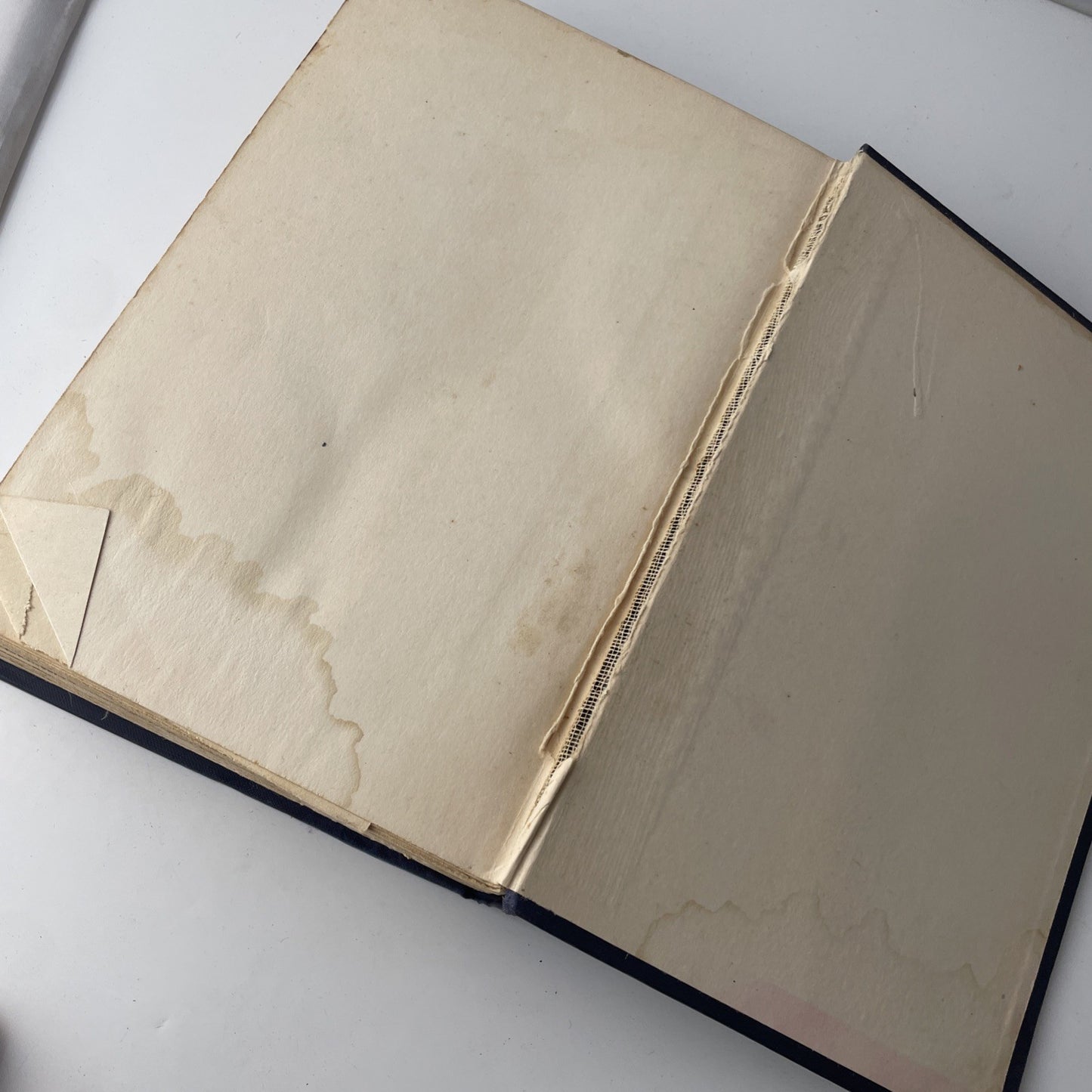 1928 Antique Novel "A Son of the Middle Border" Hamlin Garland
