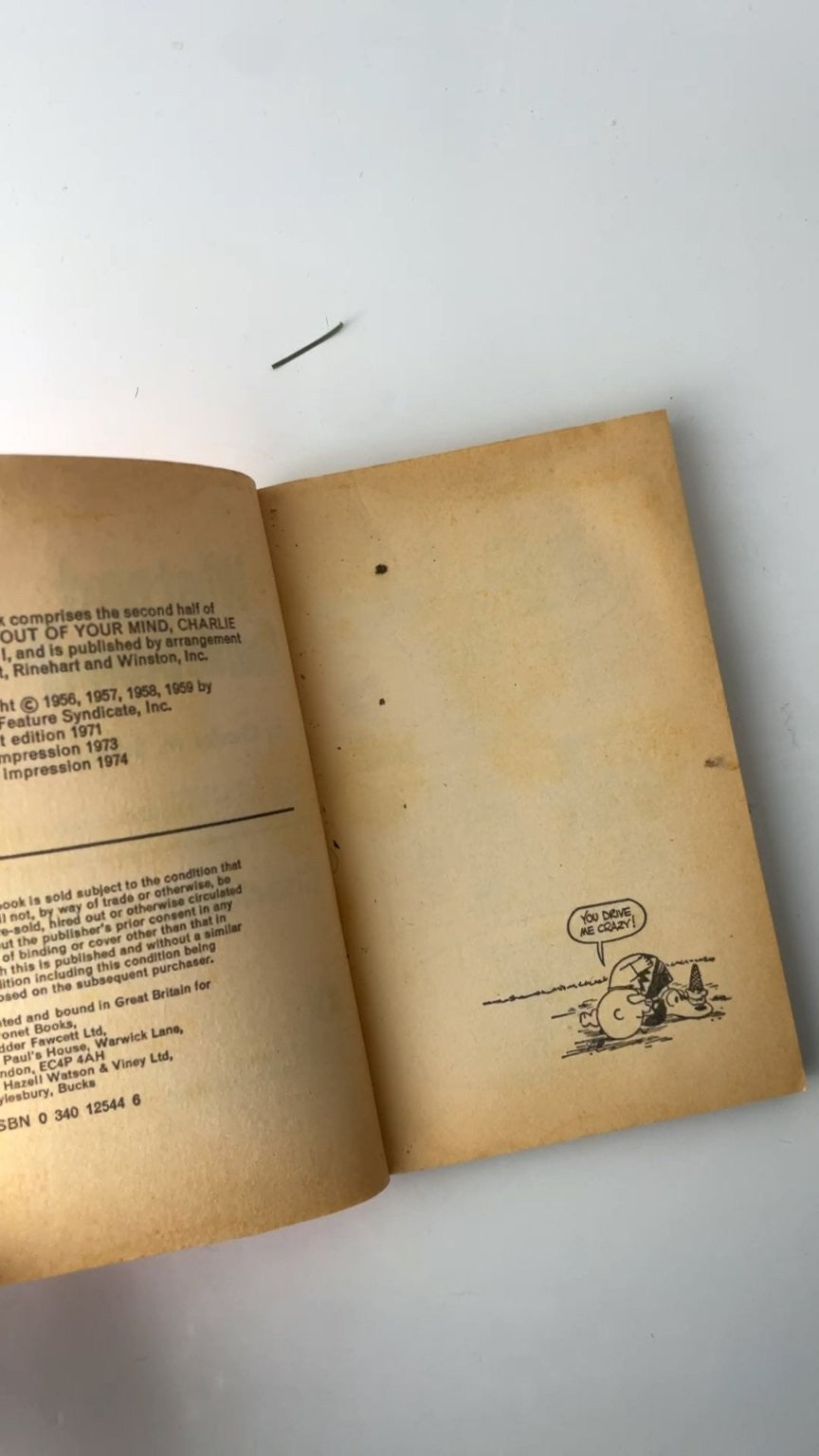 What Next Charlie Brown? by Charles M. Schulz Coronet 1974 Edition