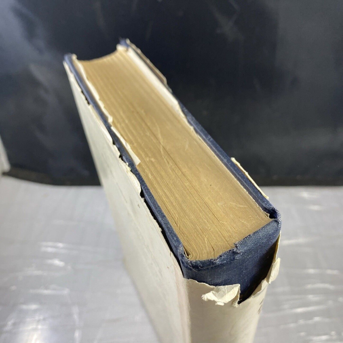 SIGNED What Does The Bible Say? Dr. F. I. Johnson 1st Ed Vantage HCDJ Religious