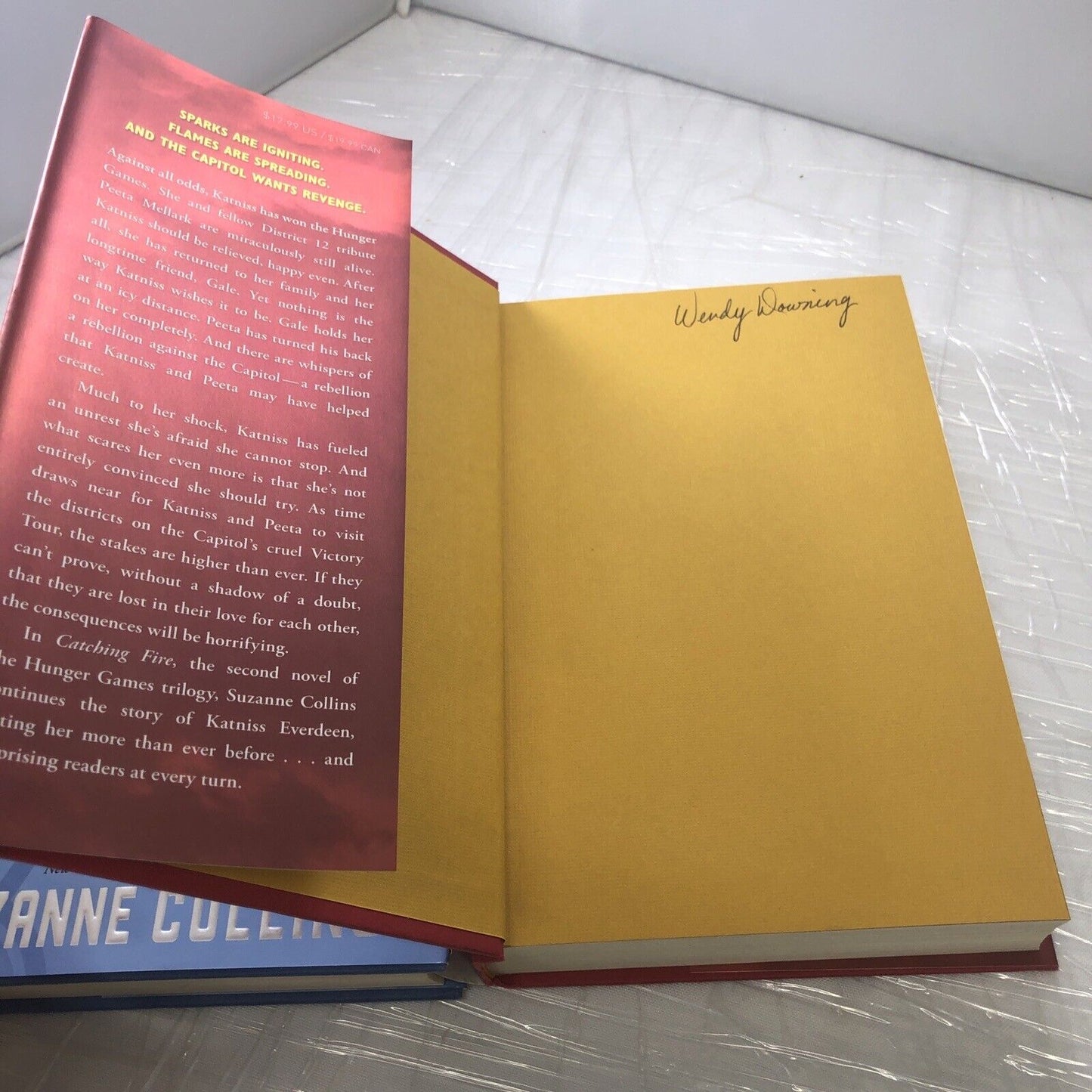 The Hunger Games:Catching Fire & Mocking Jay Suzanne Collins 2009-10 HC 1stEd