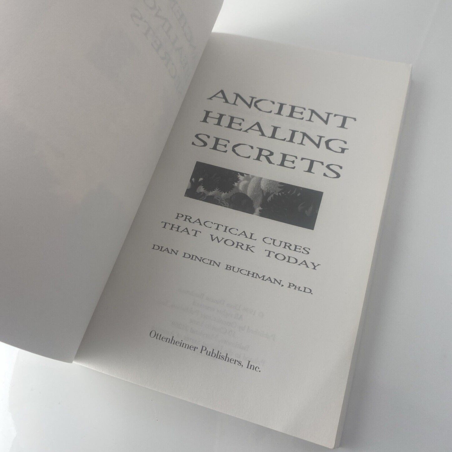 Ancient Healing Secrets : Practical Cures That Work Today by Dian Dincin Buchman