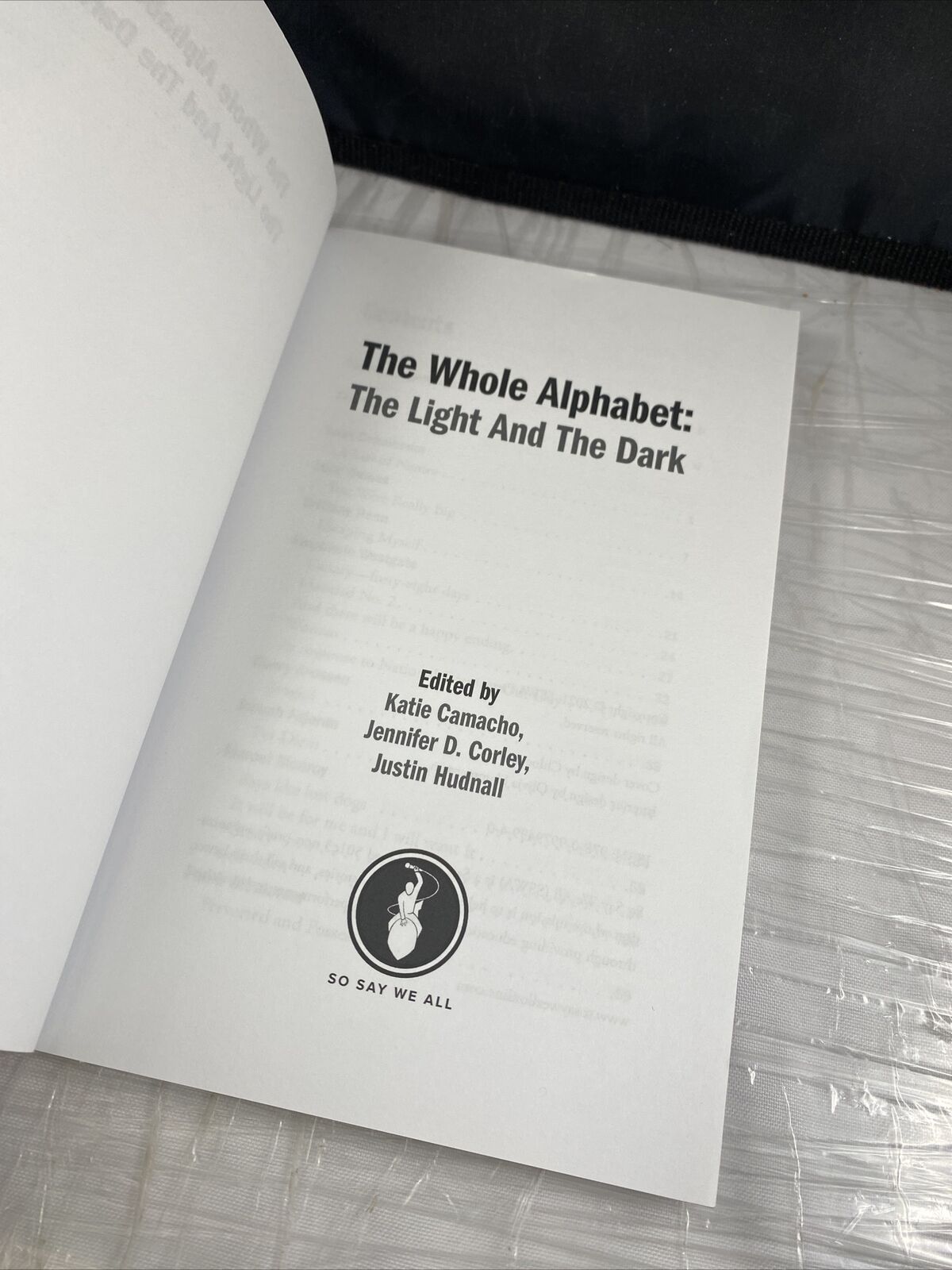 The Whole Alphabet : The Light and the Dark Paperback Rare LGBTQIA Gay Authors