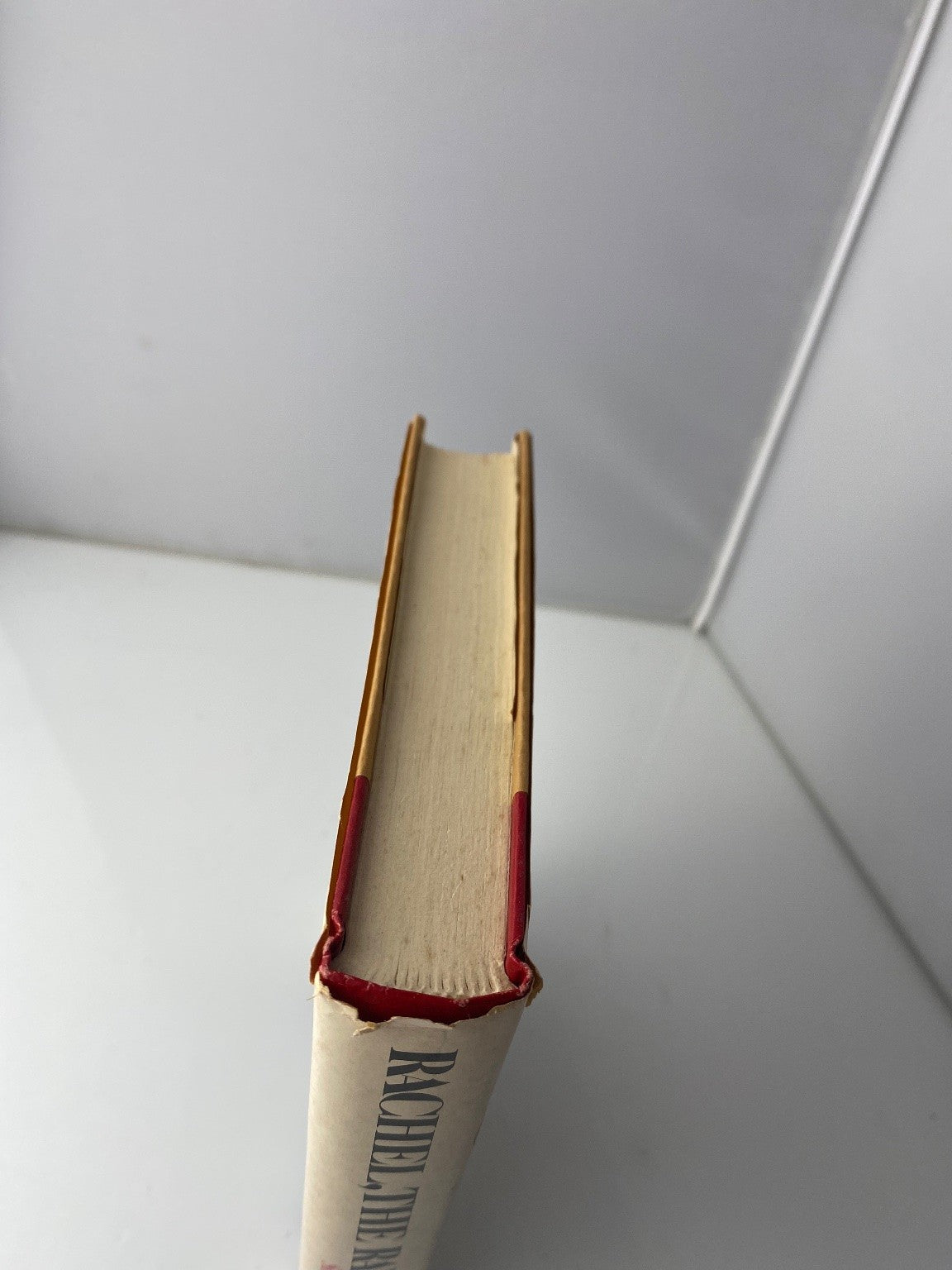 Rachel The Rabbi's Wife Silvia Tennenbaum 1978 First Edition Fiction Morrow