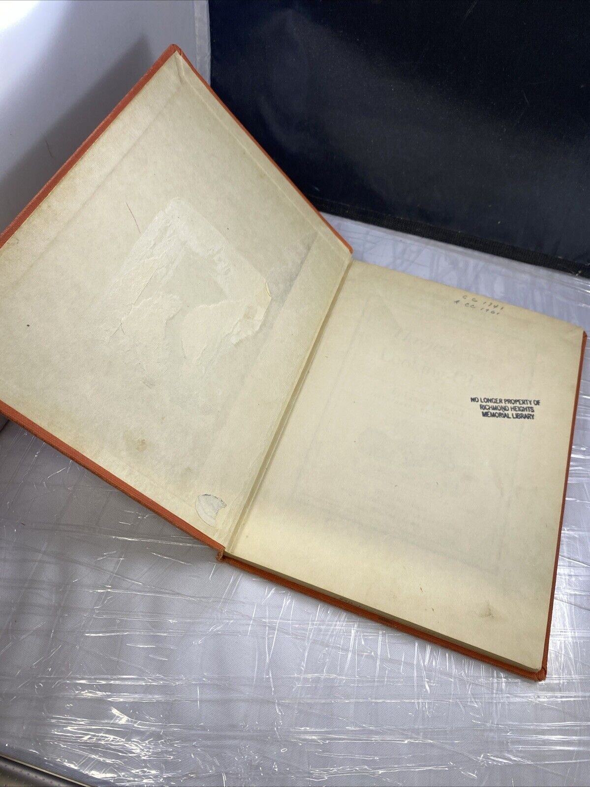 THROUGH THE LOOKING-GLASS McGraw Hill Vintage Richmond Heights EX LIB REBIND