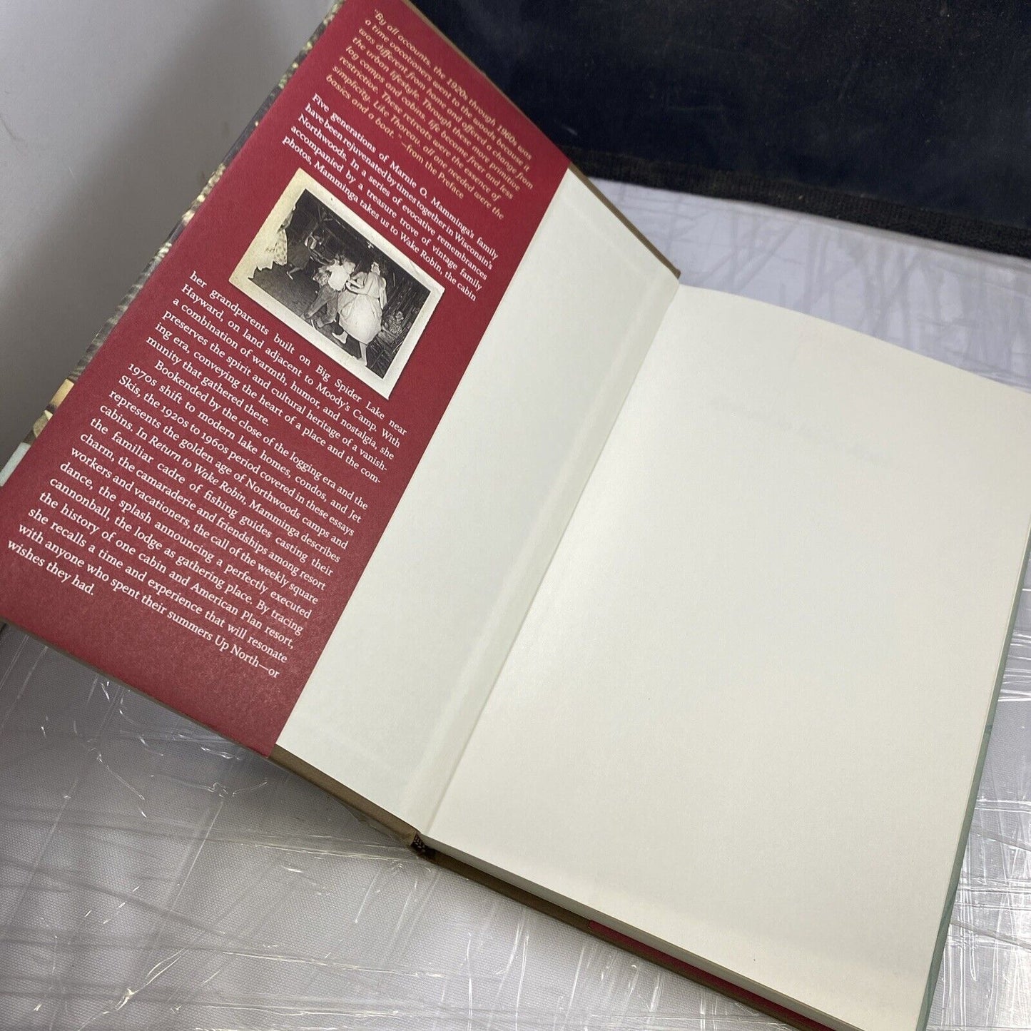 RETURN TO WAKE ROBIN: ONE CABIN IN THE HEYDAY OF By Marnie O. Mamminga VG