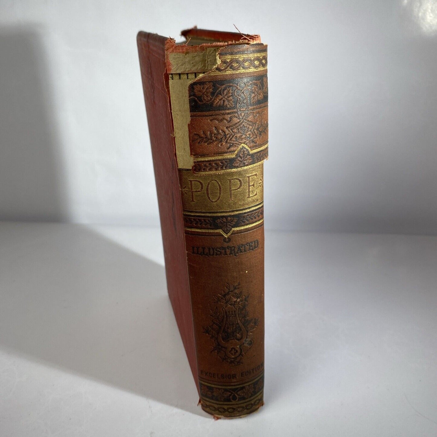 THE POETICAL WORKS OF ALEXANDER POPE ILLUSTRATED EXCELSIOR EDITION SEE PICTURES!