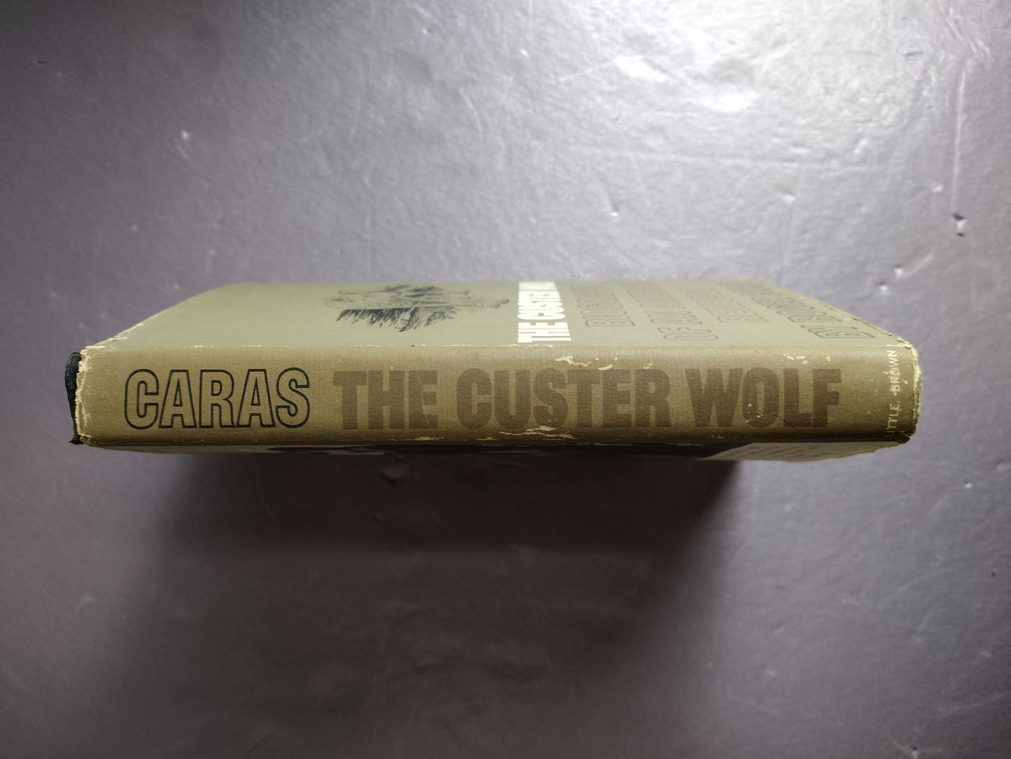 The Custer Wolf Roger A. Caras 1966 First Edition Illustrated Biography Little