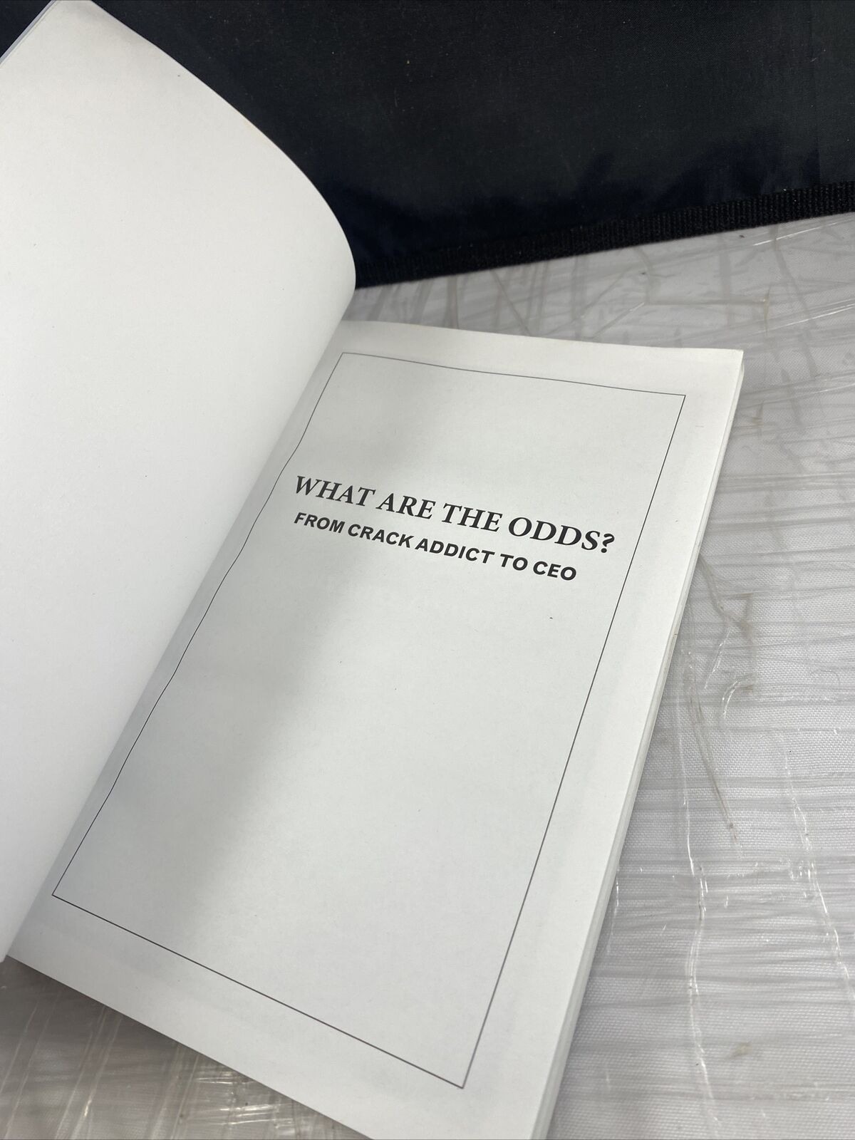 What Are The Odds? From Crack Addict To CEO - Hardcover By Mike Lindell - GOOD