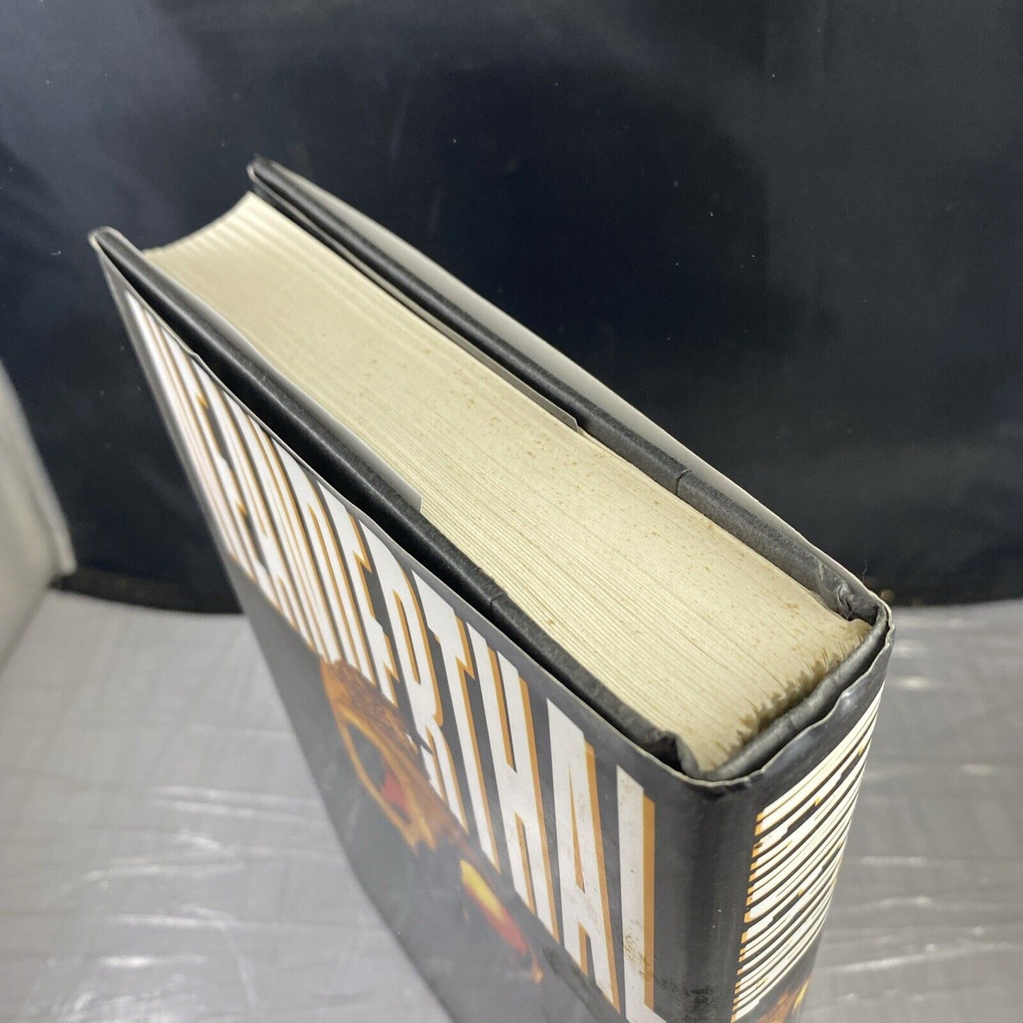 Neanderthal by John Darnton (1996, Hardcover) First Ed 2nd Print