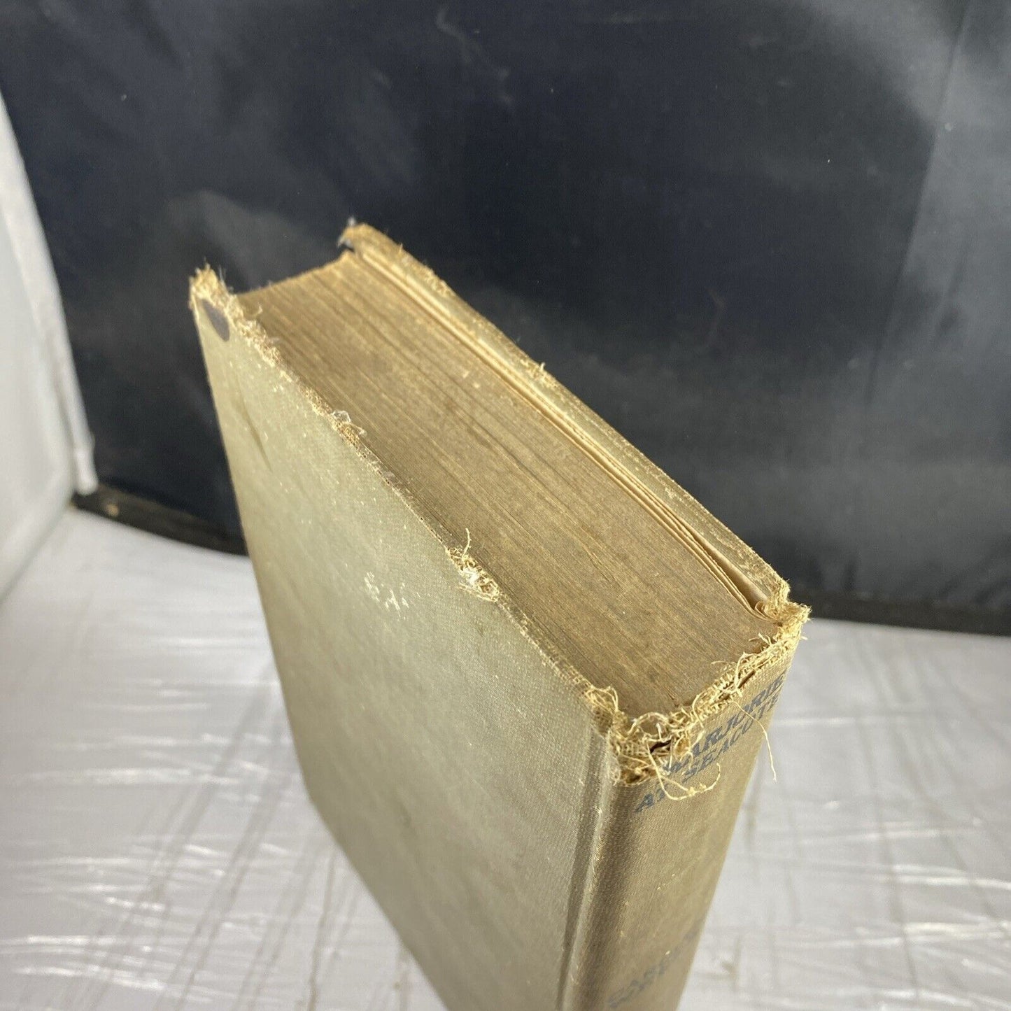 Carolyn Wells MARJORIE AT SEACOTE 1912 Rare First Edition Antique Worn Book
