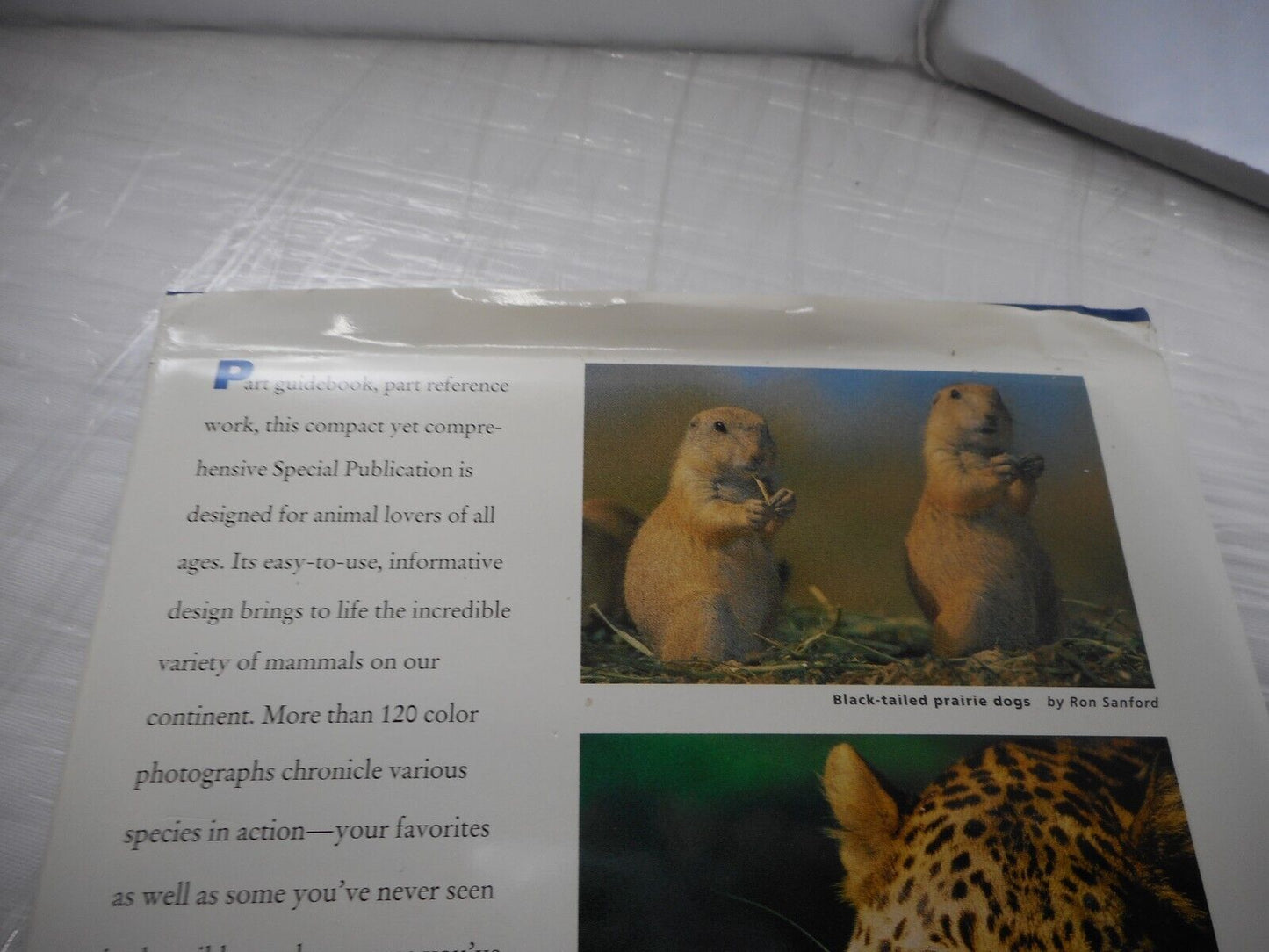(With Bookplate) National Geographic Wild Animals of North America Hardback 1998