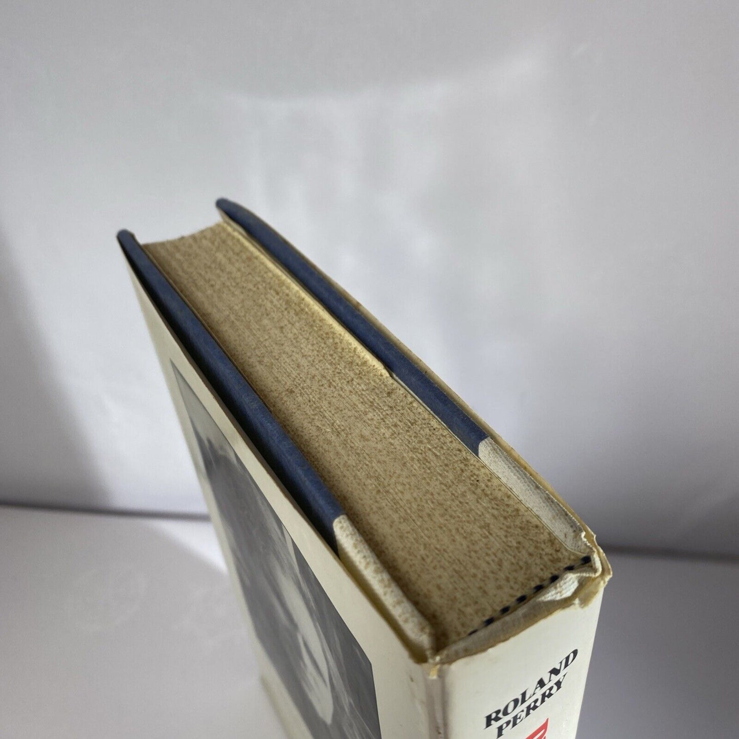 Program for a Puppet by Roland Perry 1st edition 1980 (HC/DJ) 1st Print