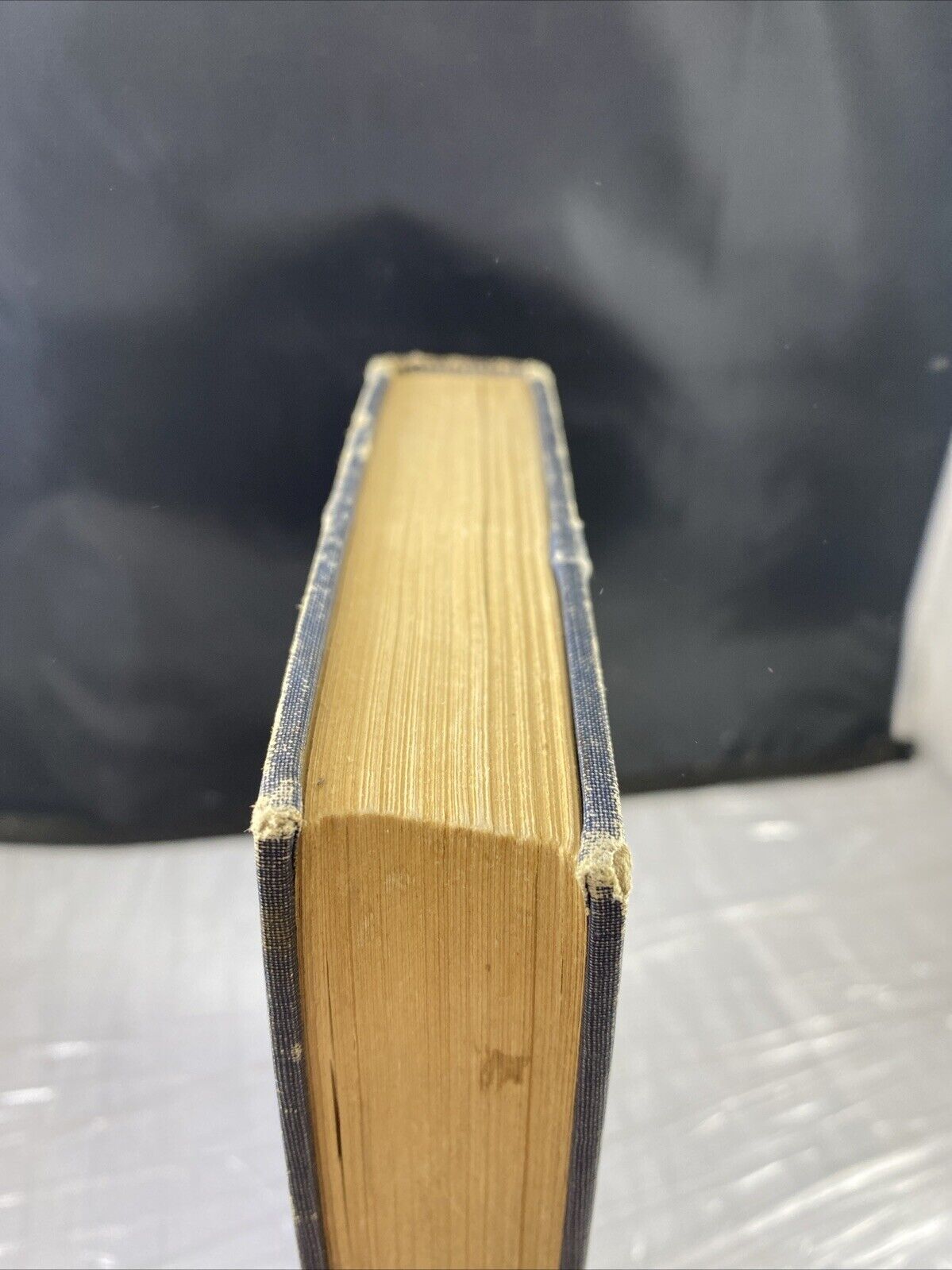 SIGNED Rare First Print Life in the Son by Robert Shank 1960 Religious Christian