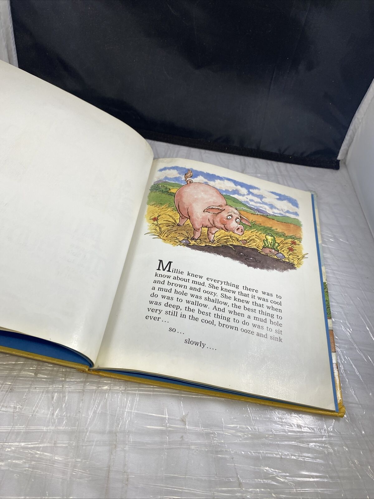 Millie and the Mud Hole First Edition Print Vintage Kids Illustrated Book Ex Lib