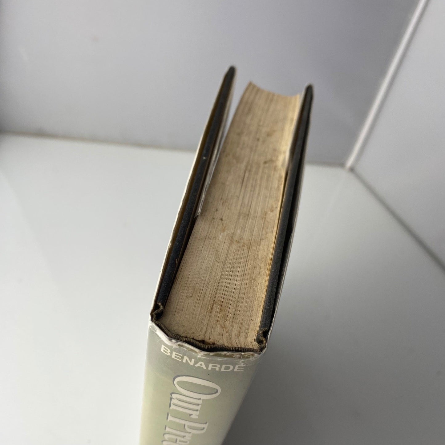 Our Precarious Habitat Melvin A. Benarde 1970 First Ed Environmental movement