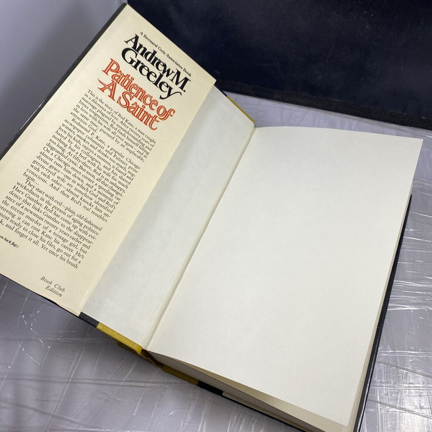 Patience of a Saint by Andrew M Greeley 1987 Hardcover BCE Vintage