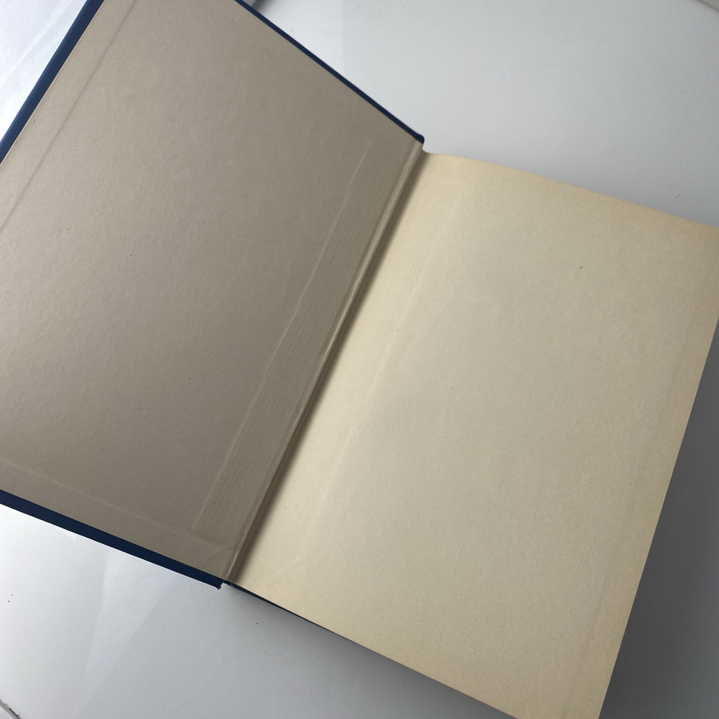 Rare Antique Biography Of A Nun. The Life Of Mother Pauline Von Mallinckrodt