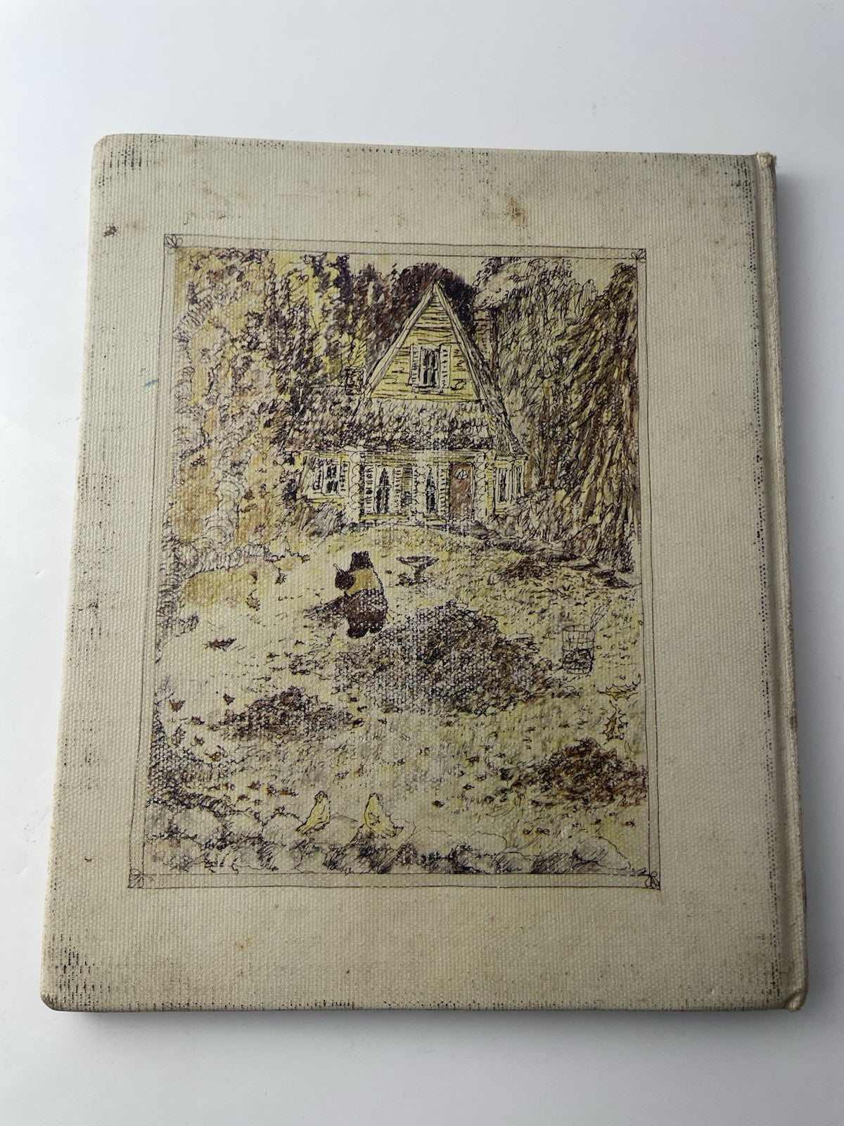 baby bear and the long sleep book, by andrew ward, 1980 Hardcover