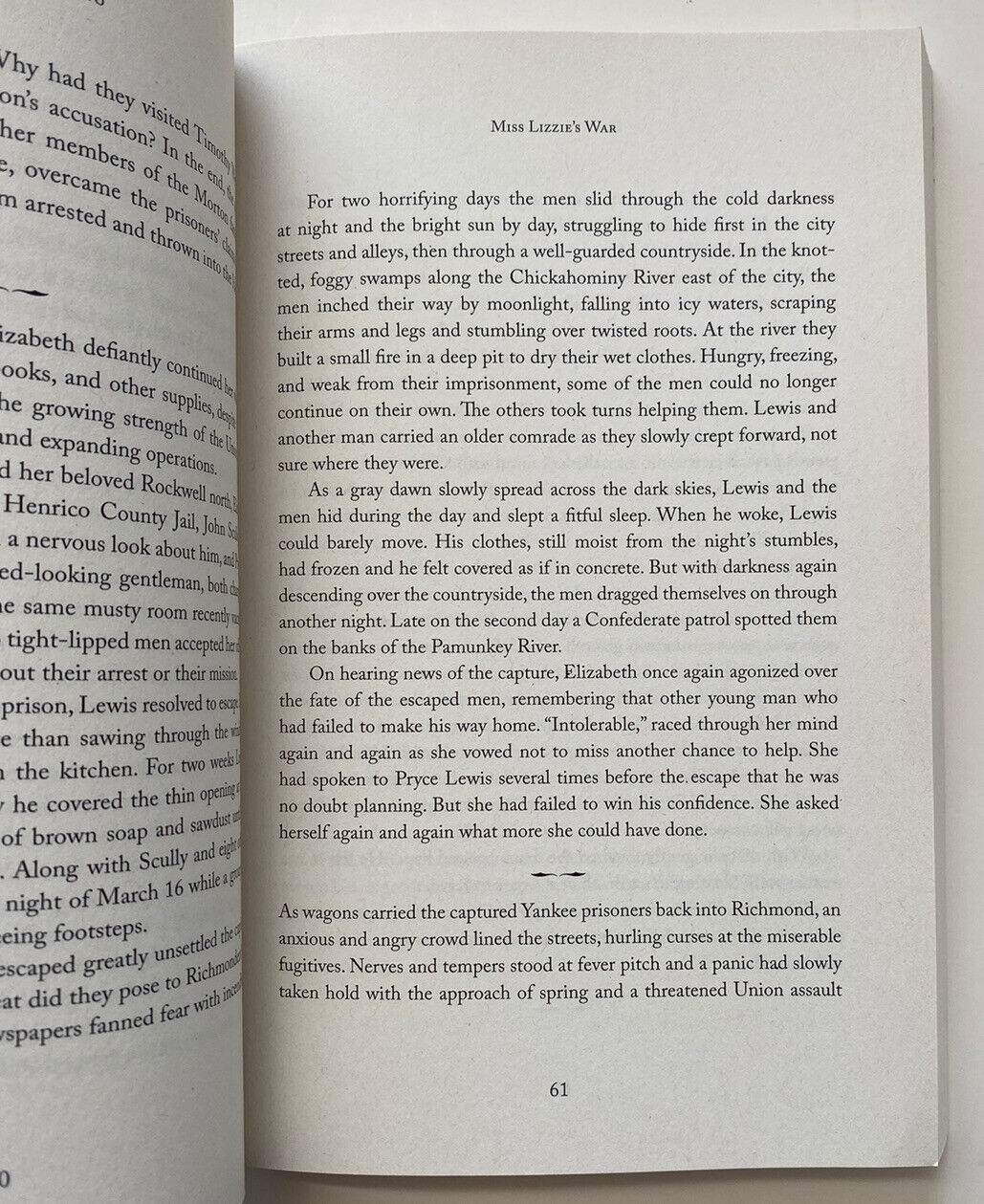 Miss Lizzie's War : The Double Life of Southern Belle Spy Rosemary Agonito Paper