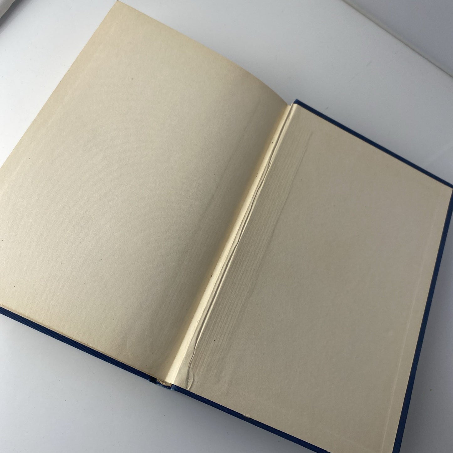 Rare Antique Biography Of A Nun. The Life Of Mother Pauline Von Mallinckrodt