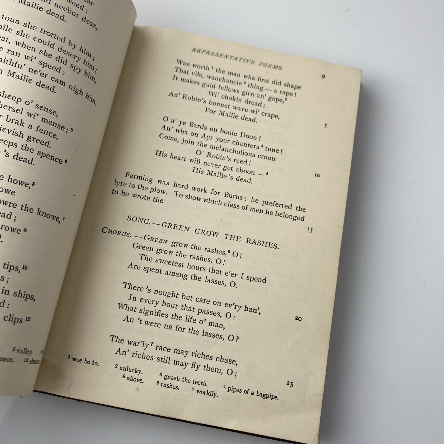 Antique 1897 Representative Poems With Carlyles Essay Hardcover Book Red Small
