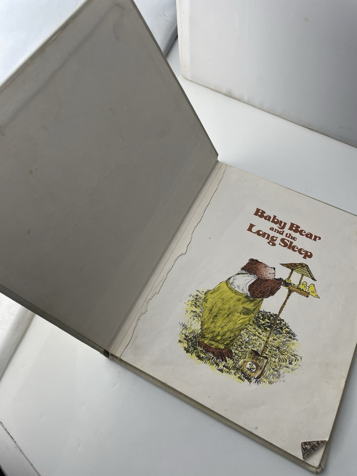 baby bear and the long sleep book, by andrew ward, 1980 Hardcover