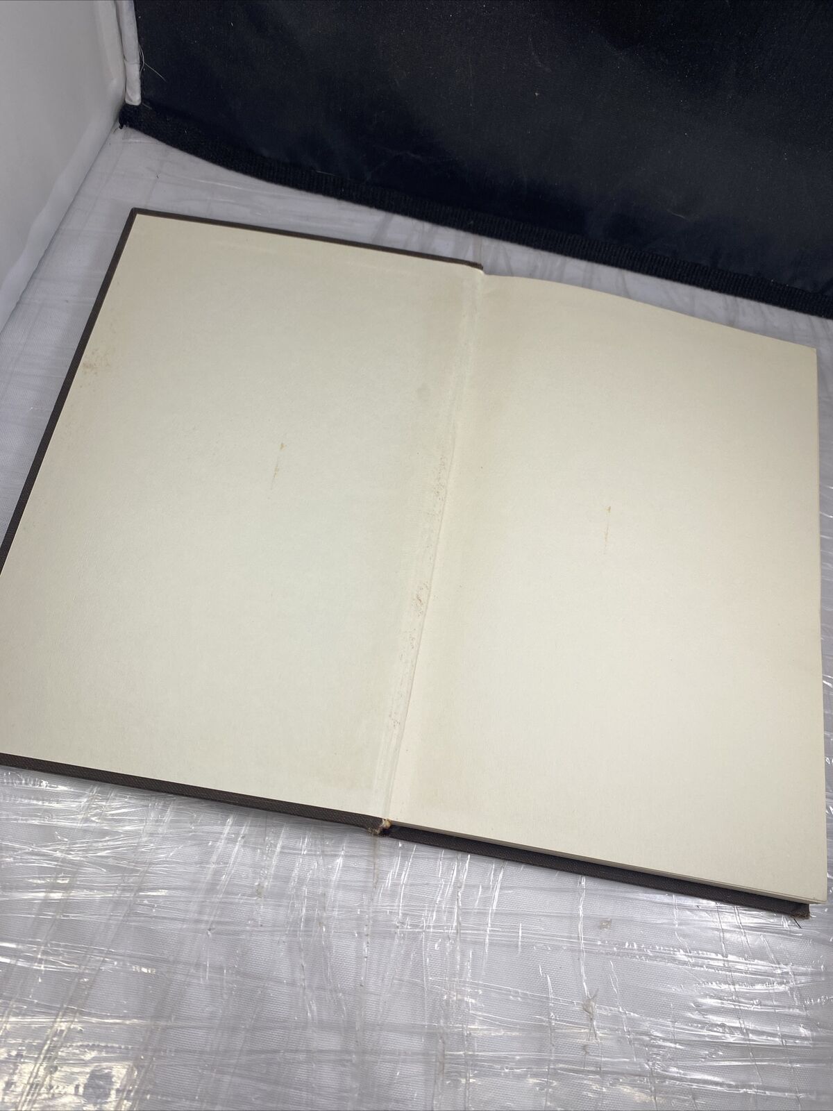 HONEY AND SALT ~ Carl Sandburg HC/DJ 1963 10th Printing POETRY Vintage