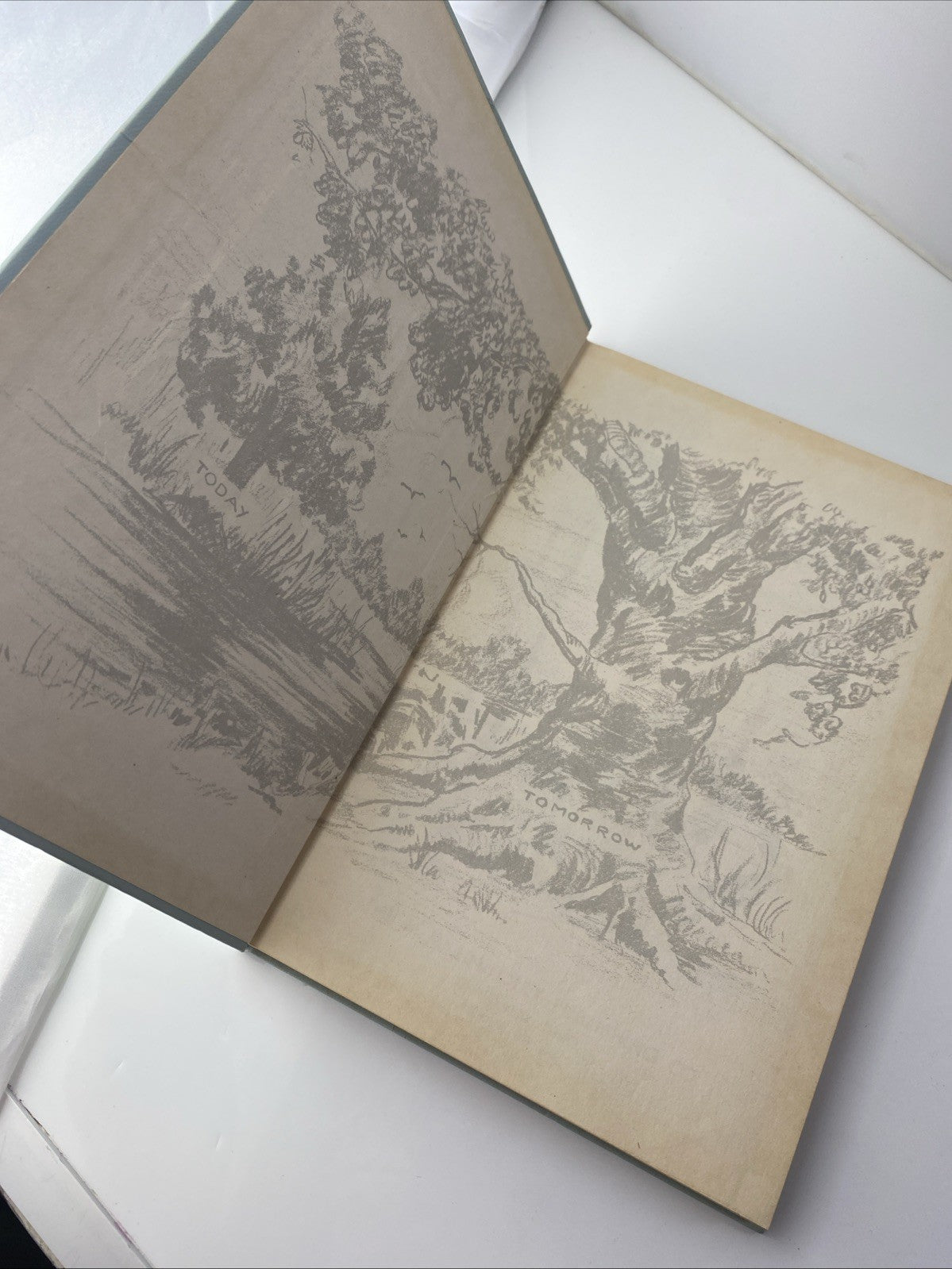 Log Of Life Dedicated To Posterity: Baby Book To Famous Artist Richard Schlecht