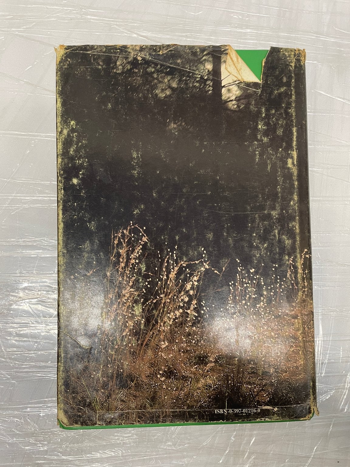 St. Simons Memoir Eugenia Price First Edition 1978 Historical Fiction First