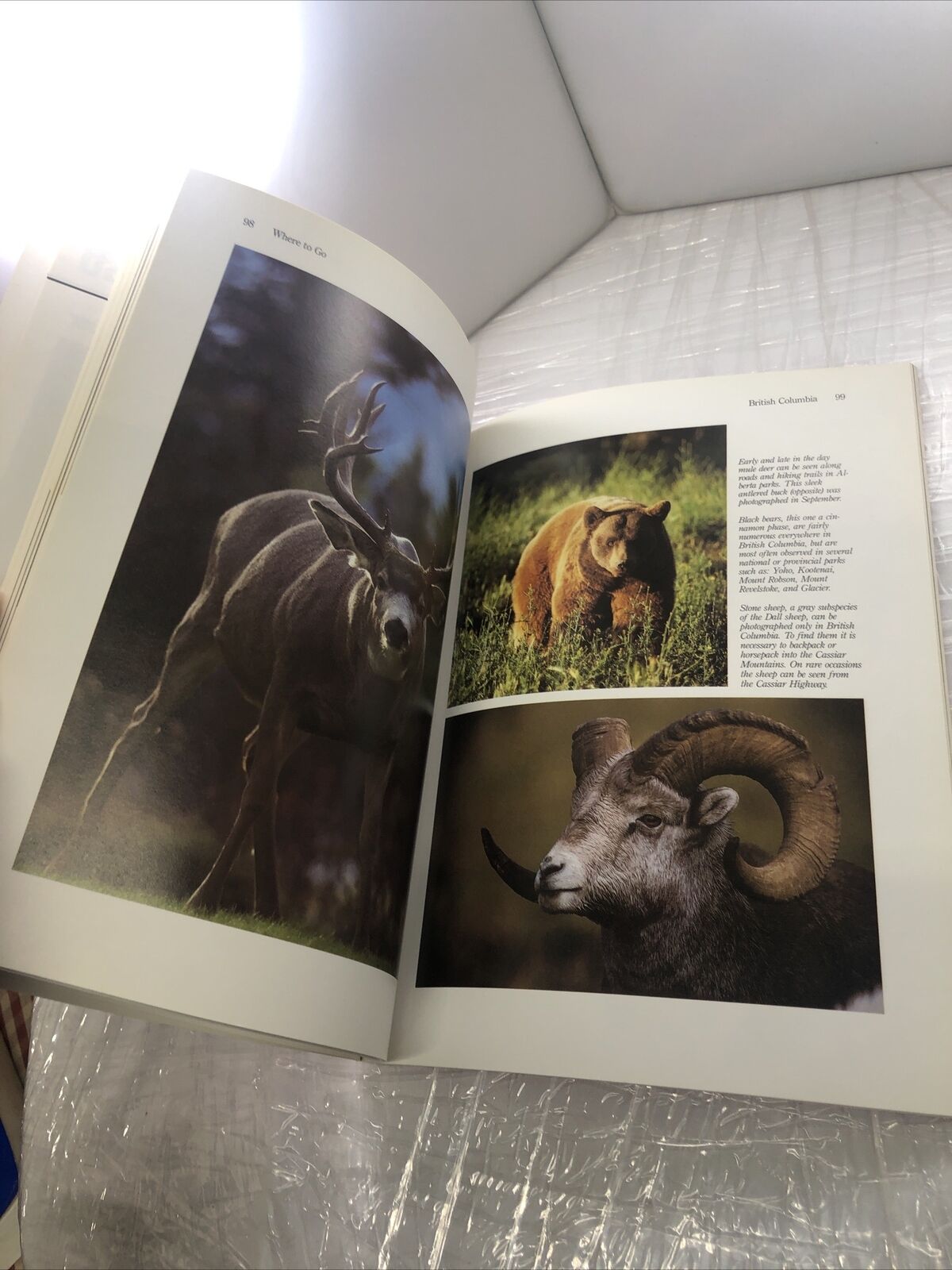 Photographing the North American West by Erwin and Peggy Bauer How To Rare Book