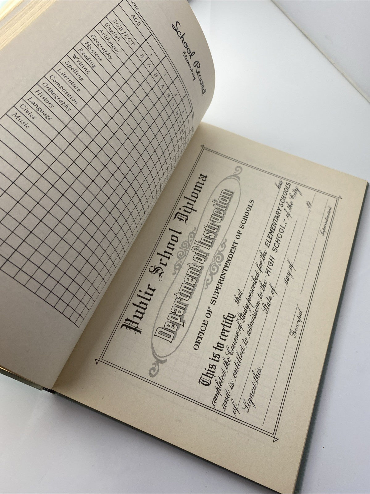 Log Of Life Dedicated To Posterity: Baby Book To Famous Artist Richard Schlecht