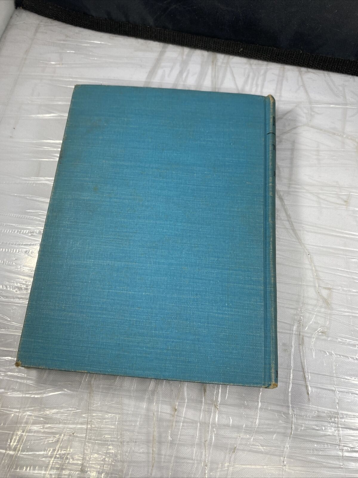 VINTAGE ALEC HAMILTON THE LITTLE LION BY HELEN BOYD HIGGINS COPYRIGHT 1942