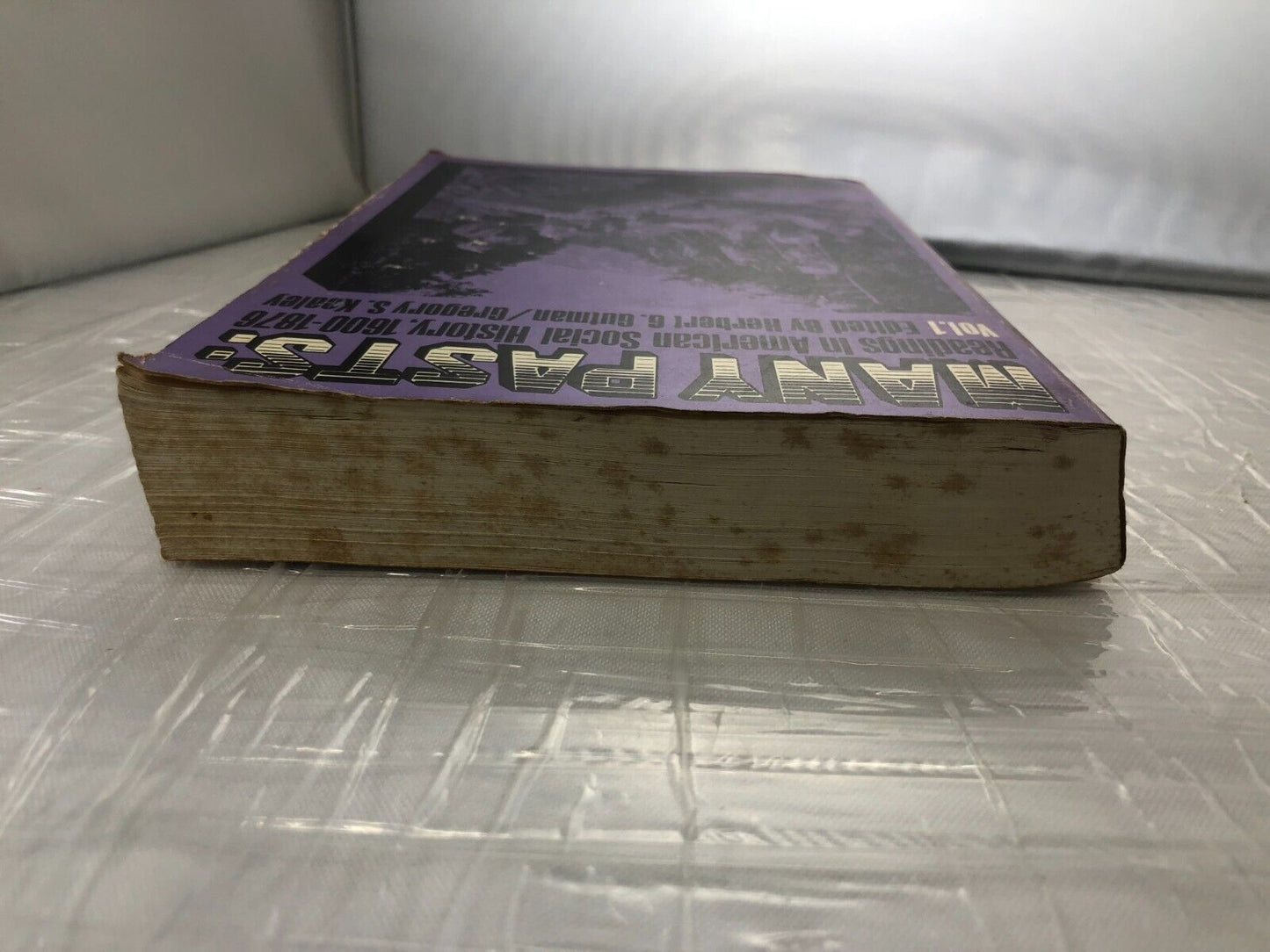 MANY PASTS: READINGS IN AMERICAN SOCIAL HISTORY, By Herbert G. Gutman & Gregory