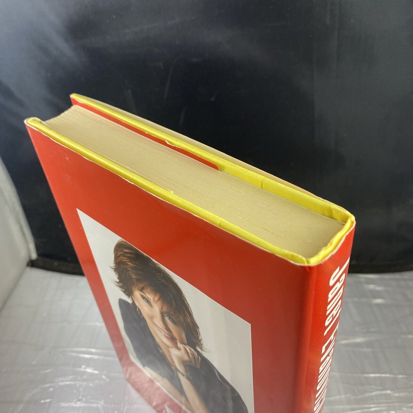 Notorious Nineteen : A Stephanie Plum Novel by Janet Evanovich Very Good!