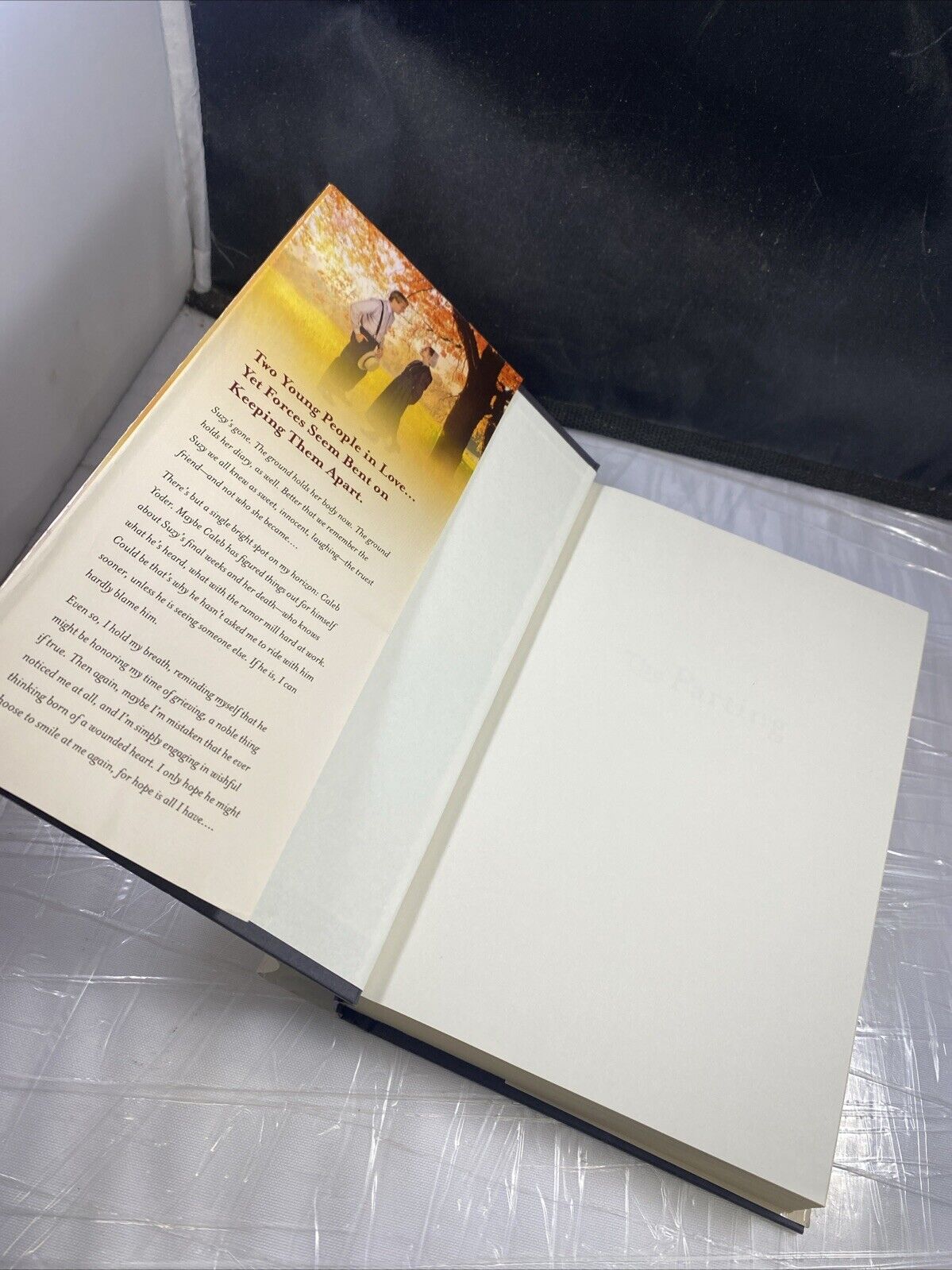 Parting, The - hardcover, Beverly Lewis, 0764204378 VERY GOOD BCE