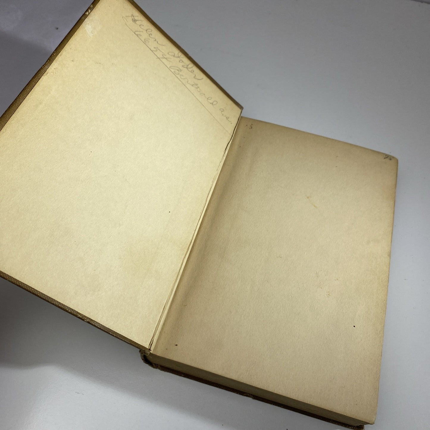 Antique Novel Chapter Book The Rover Boys on At School by Arthur M. Winfield