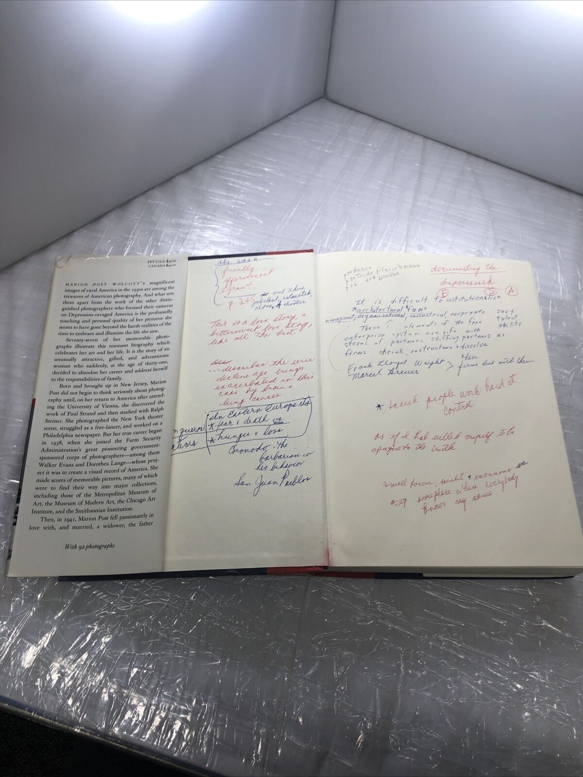 LOOKING FOR THE LIGHT: THE HIDDEN LIFE AND ART OF MARION By Paul Hendrickson VTG