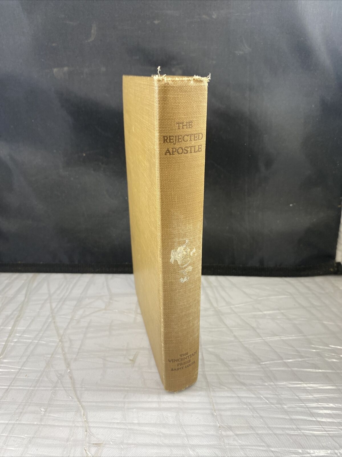 The Rejected Apostle 1924 Christian Bible Short Stories Rare Antique Vincentian