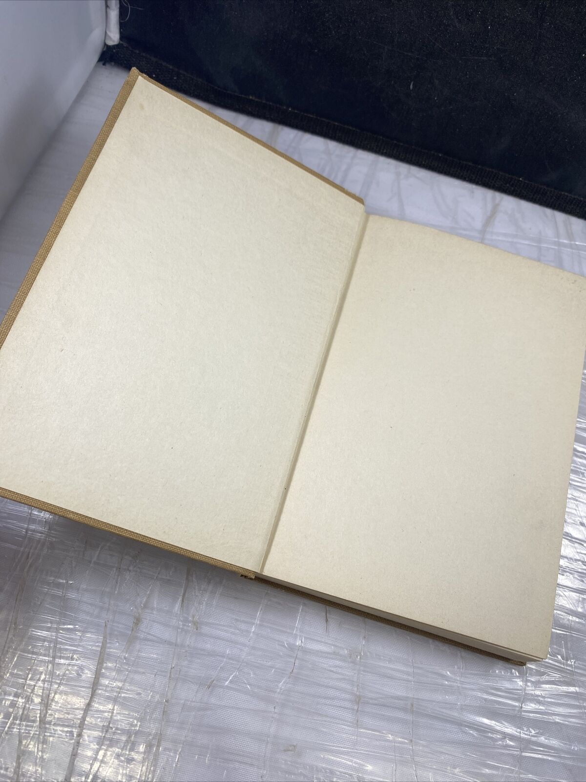 The Rejected Apostle 1924 Christian Bible Short Stories Rare Antique Vincentian