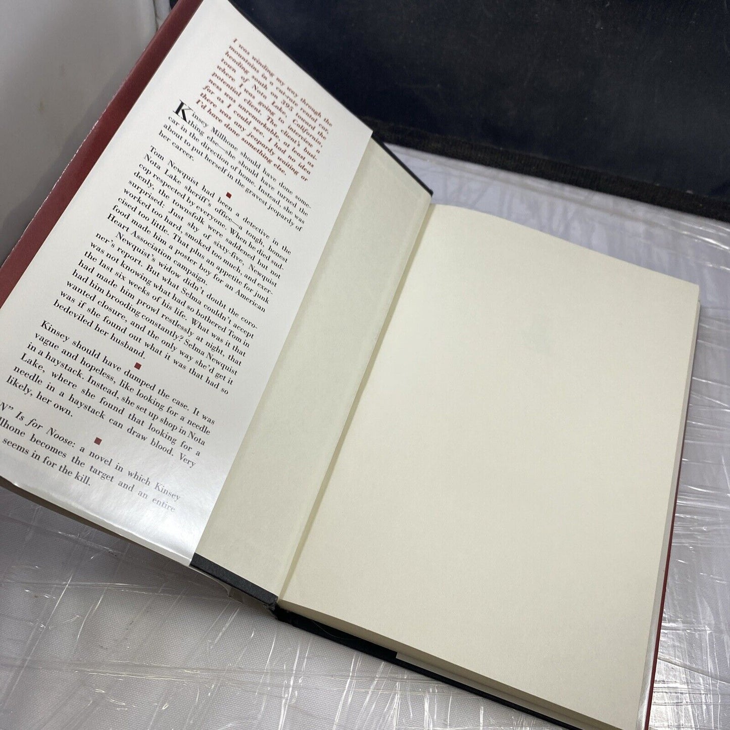 Kinsey Millhone Alphabet Mysteries: N Is for Noose 14 by Sue Grafton (1998 BCE