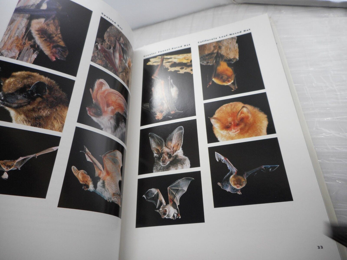 (With Bookplate) National Geographic Wild Animals of North America Hardback 1998