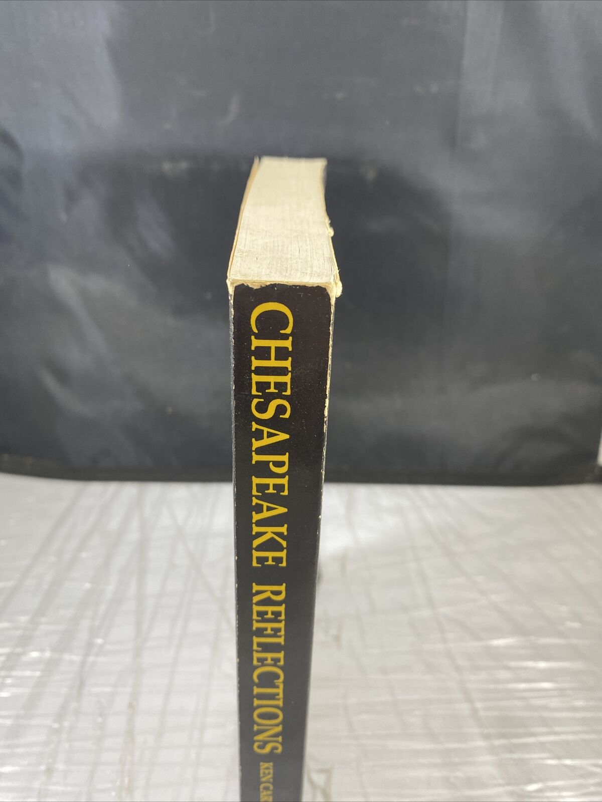 Chesapeake Reflections Vintage Rare Travel Story Boating Bike Ken Carter. Signed