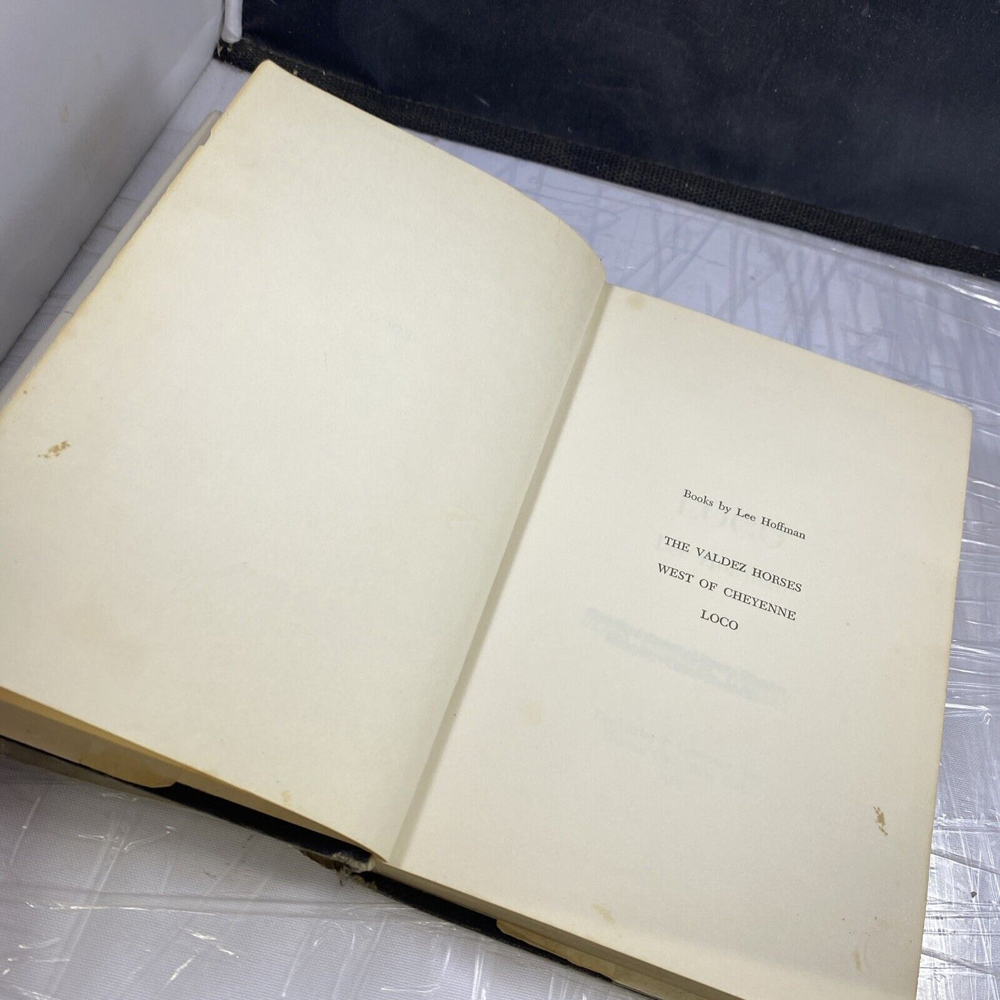 Loco Lee Hoffman 1969 First Edition EX Crawford County LibraryRare Western Novel