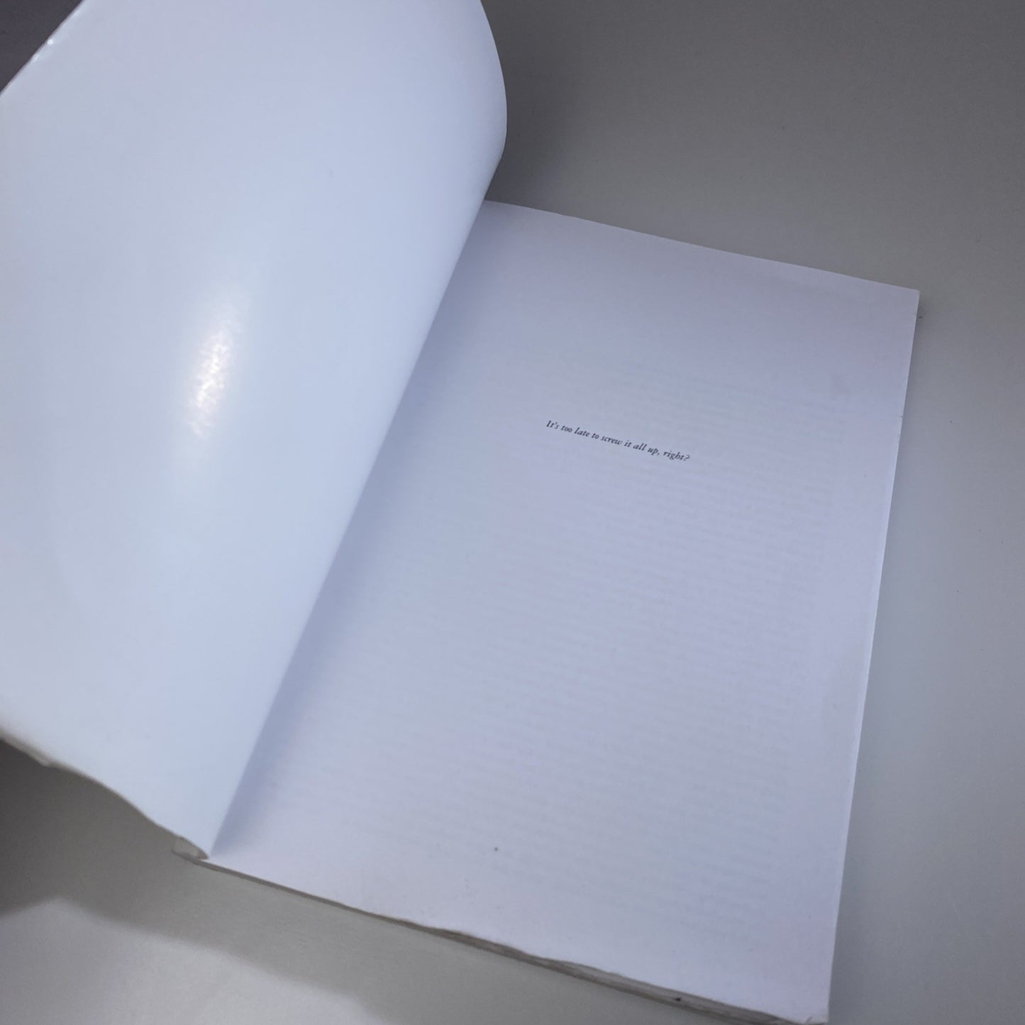 TIMOTHY MCSWEENEY'S Forge-ahead Issue 30 Throwback Literature rejoice Softcover