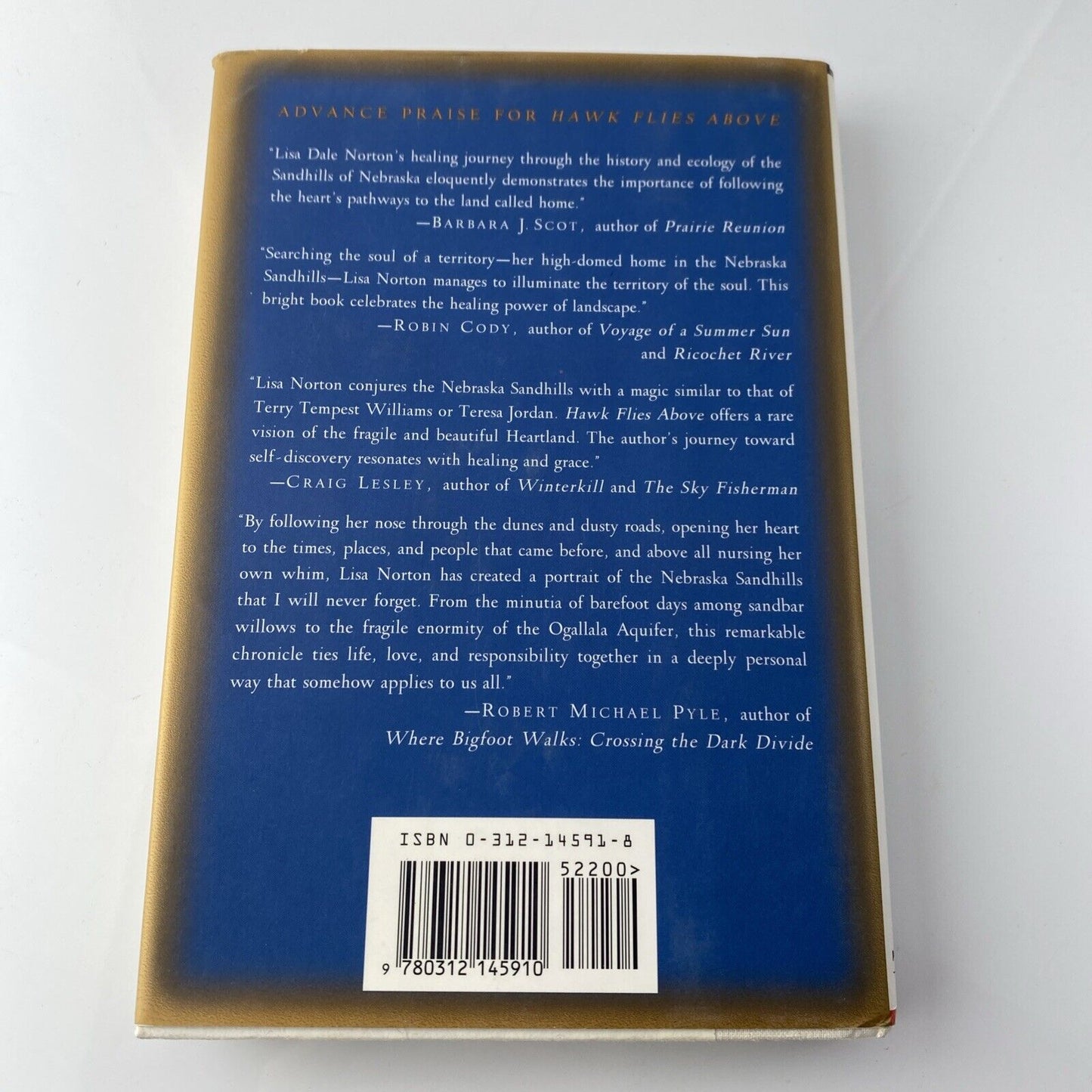 Hawk Flies Above Lisa Dale Norton 1st Picador USA Edition 1996 Hardcover Memoir
