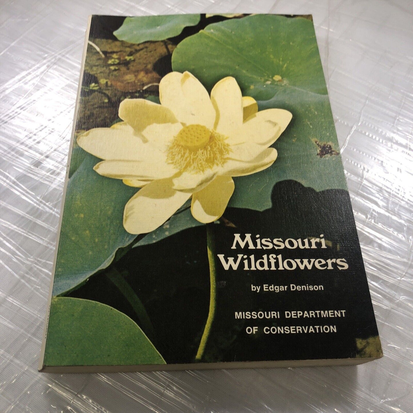 MISSOURI FLOWERS By Edgar Denison ~ 1972 Trade Paperback Flower Identification